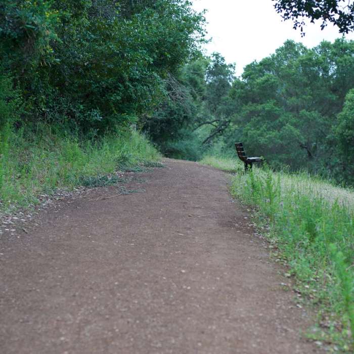 A bench sits along the trail allowing you to take a break. Near Flume Trail