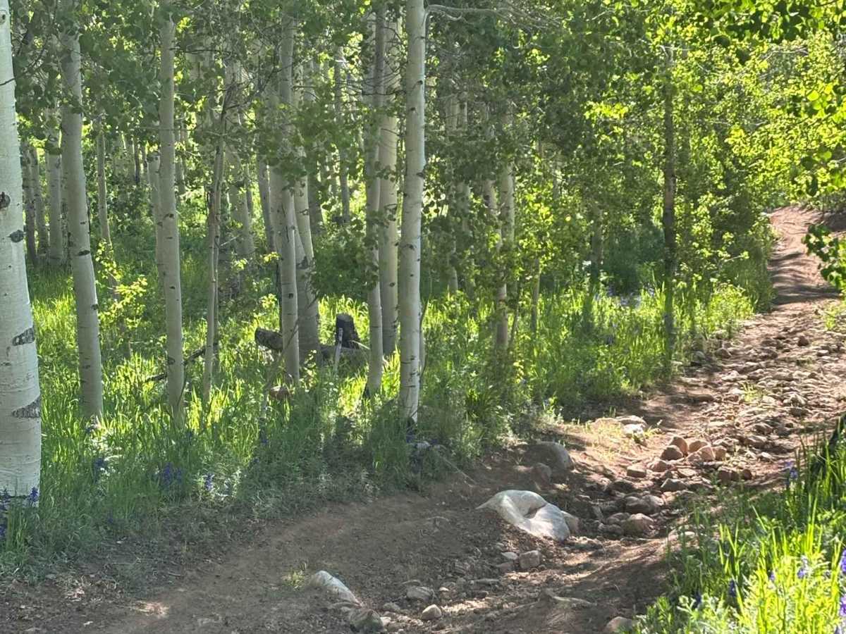 Corral Point Road photo 4