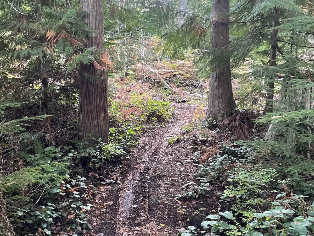 Hayden's Trail Connector photo 4