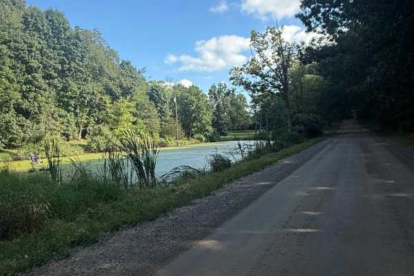 Kelly Trail