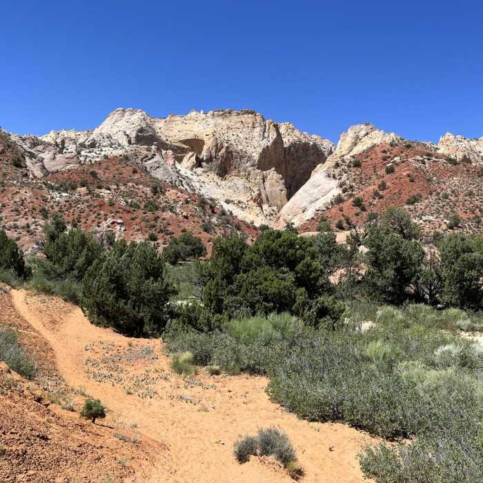 Near Surprise Canyon Trail