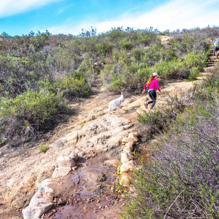 Near Cowles Mountain via Barker Way