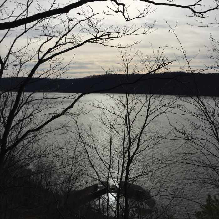 Near Turkey Hill Trail/Low-Grade Hi-Lo Loop