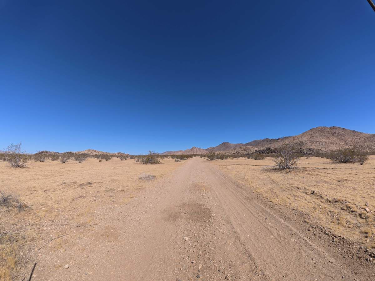 Fern Road trail photo