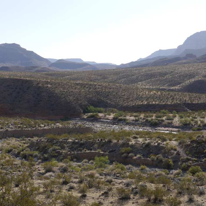 Near Sullivan Canyon Trail