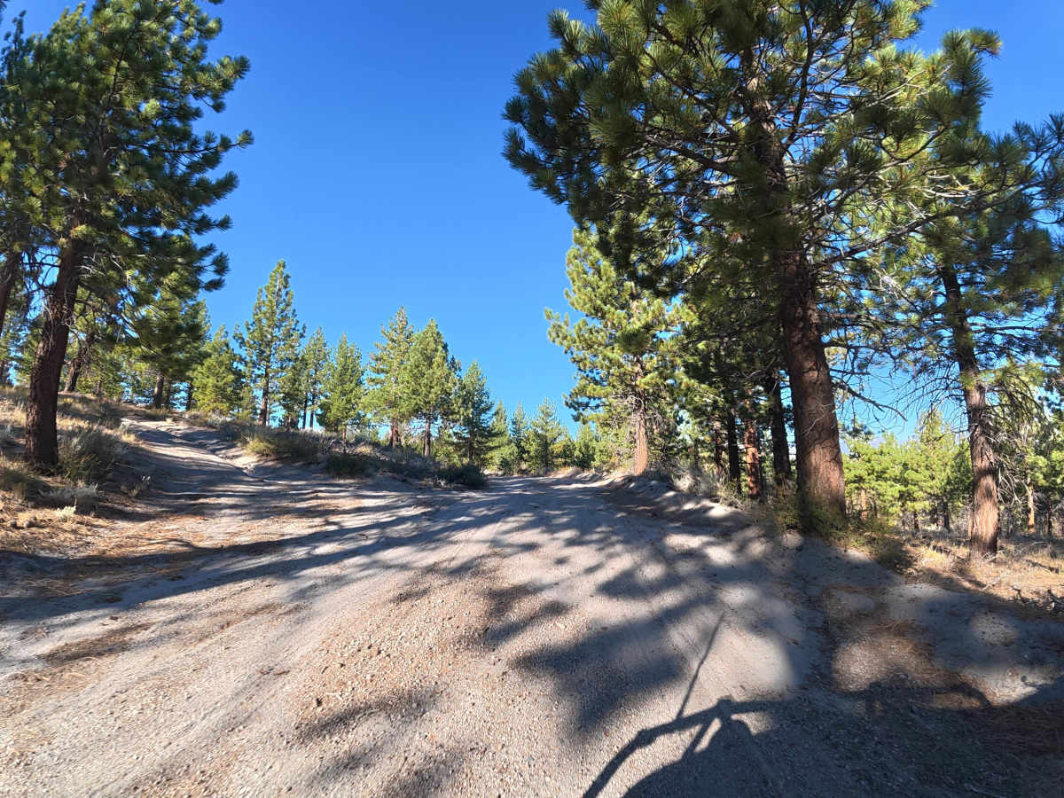 Logging Camp Road photo 4