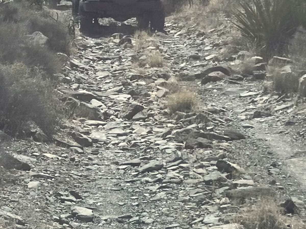 Rogers Wildlife Guzzler trail photo
