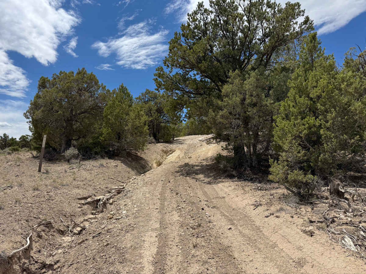 BLM 8461C photo 4