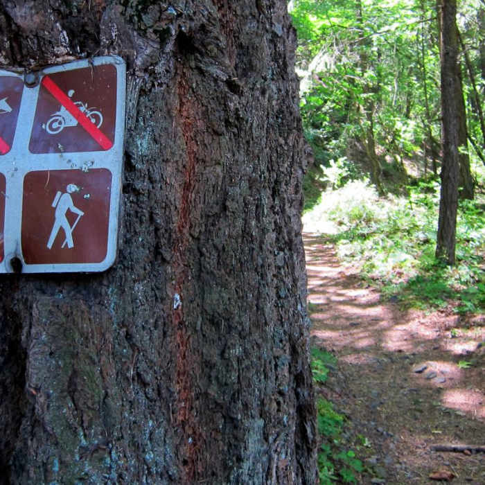 Near Mount Defiance Hike