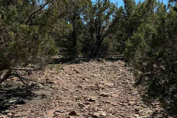 Tailhoit Mesa Trail #666 