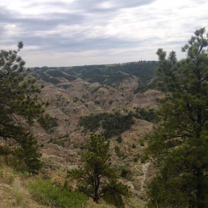 There are some lovely views from the Kinney Coulee trail. Near Kinney Coulee Trail