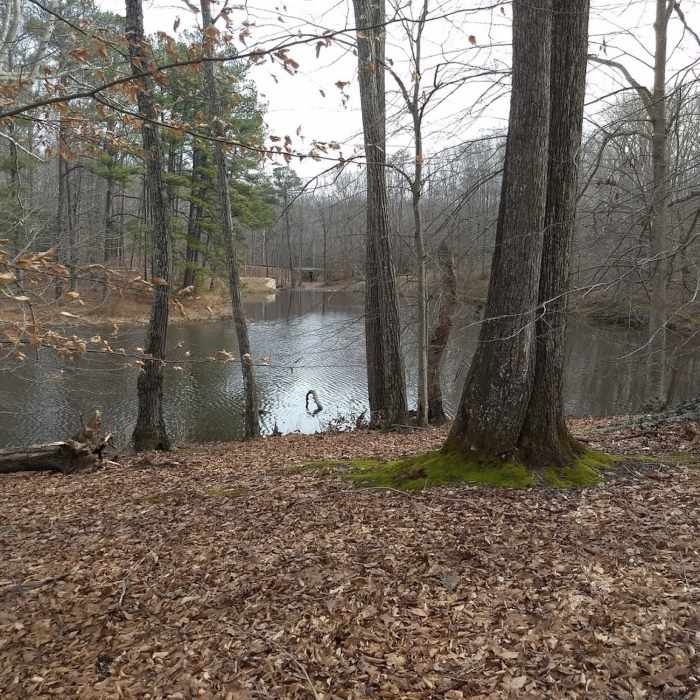 Beaver Lake Trail Near Old Mill Trail - Beaver Lake Trail