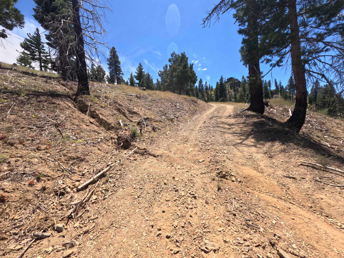 Ball Rock Summit - FS 25N66 photo 6