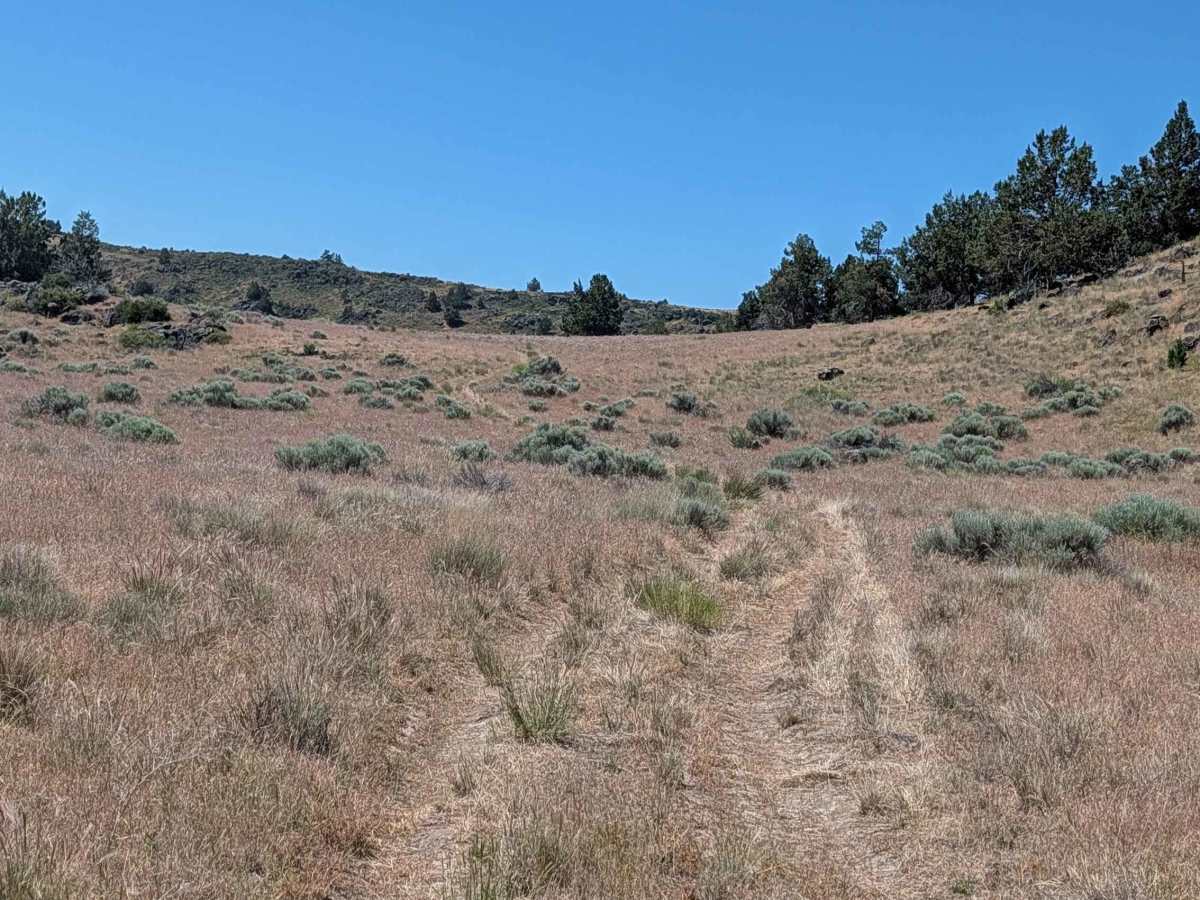 Sheep Camp Spur A - FS 47N18A  trail photo