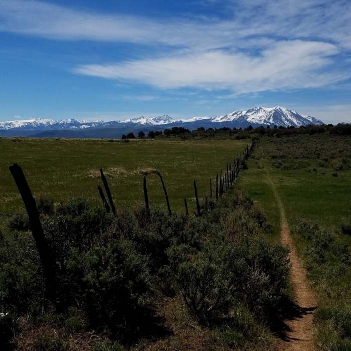 The Fisher Creek Trail is such a great off the beaten path singletrack. Sopris from the meadow Near Fisher Creek Trail