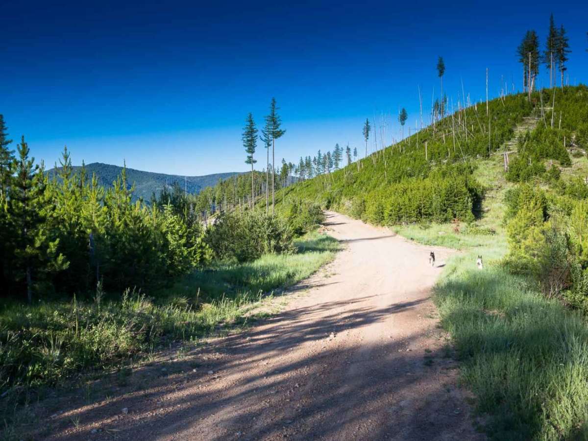 Wagon Mountain Road photo 5