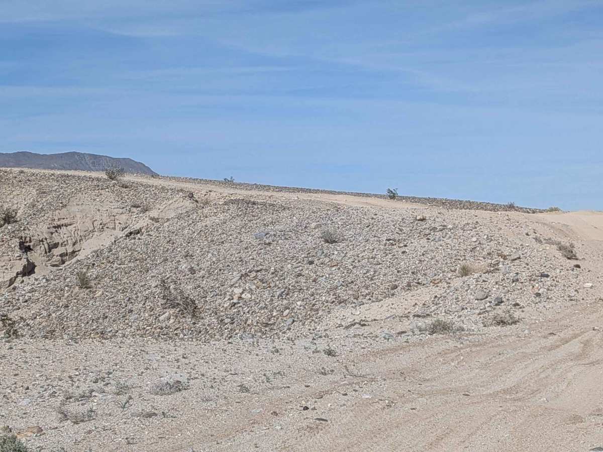 BLM 209 photo 4