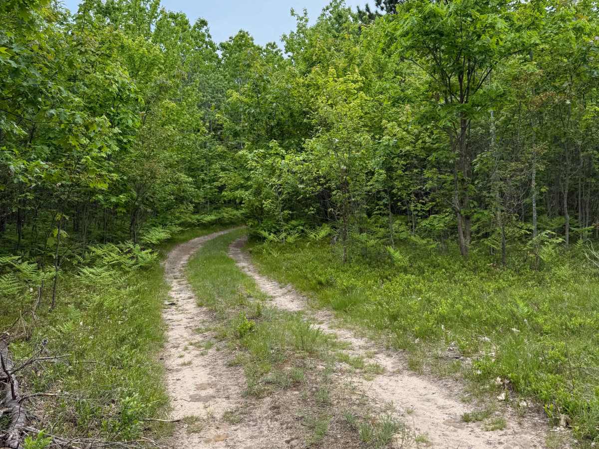 Kalkaska South Mountain Bike Trail photo 4