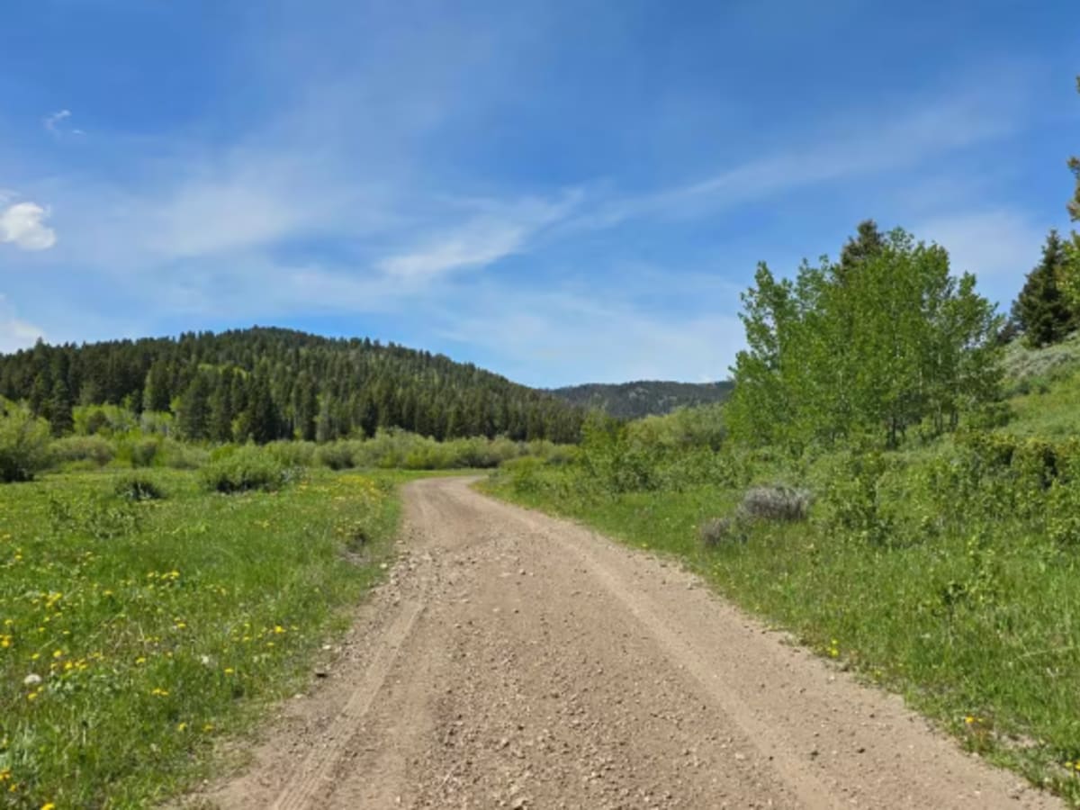 Stoddard Creek to Indian Creek Butte photo 4