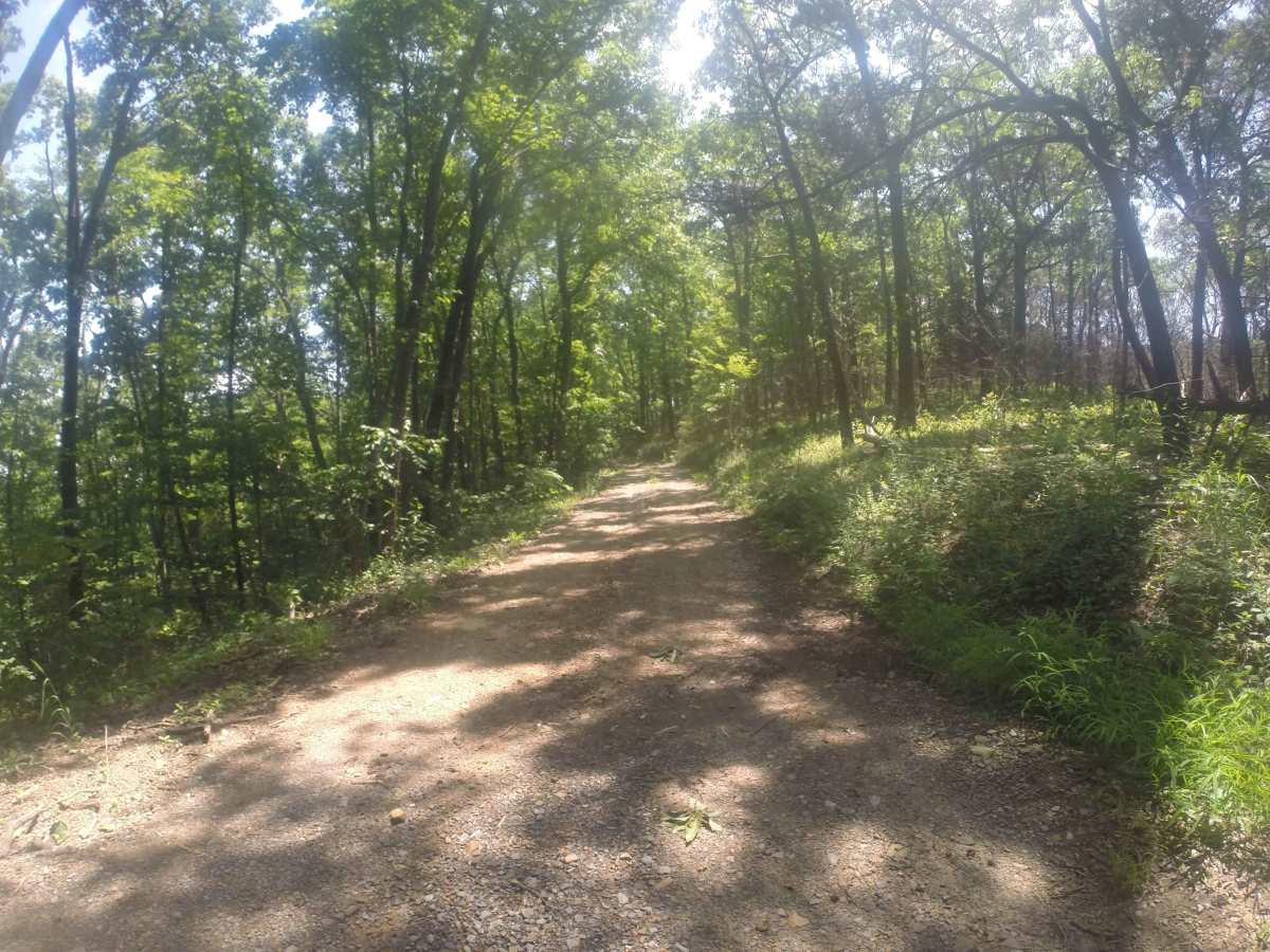 Chestnut Mountain - FS 212 photo 6
