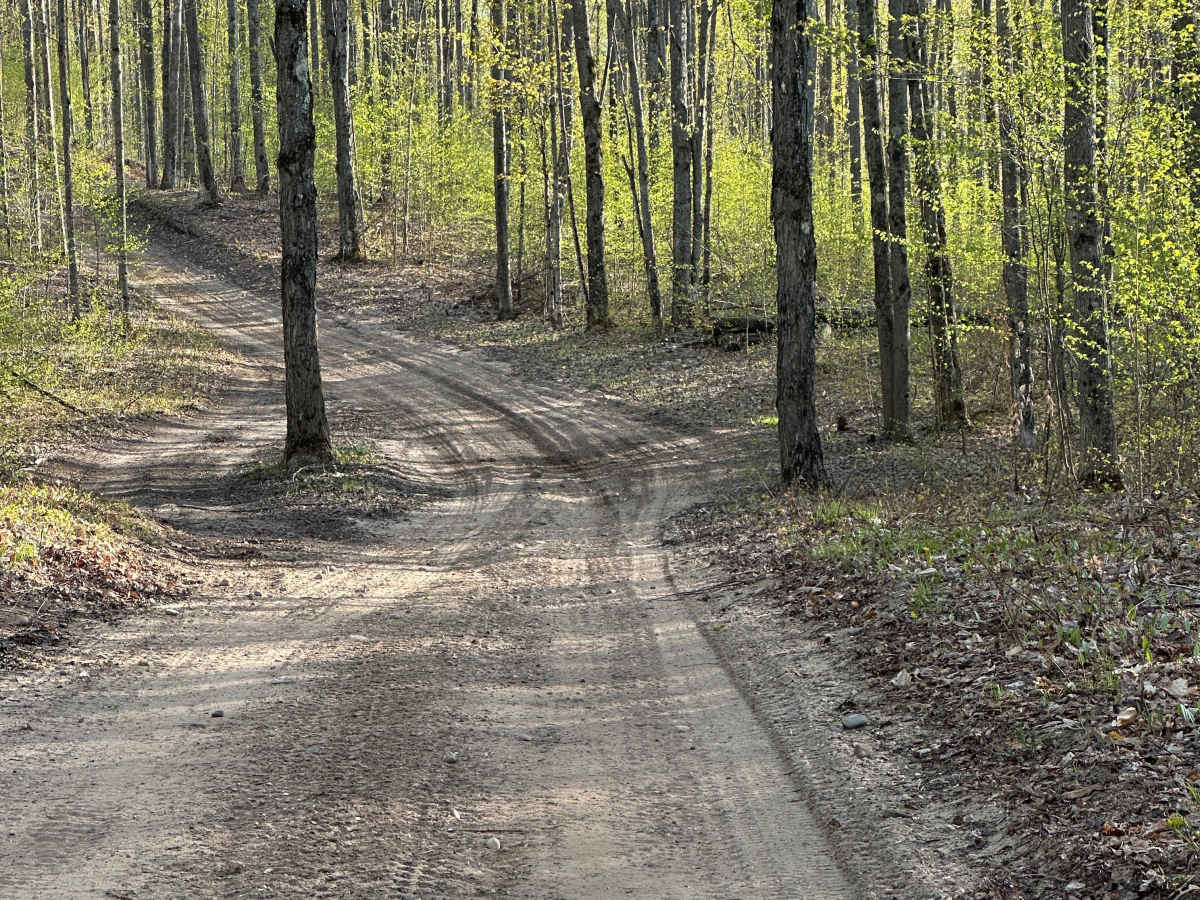 Kalkaska Trail SL photo 3