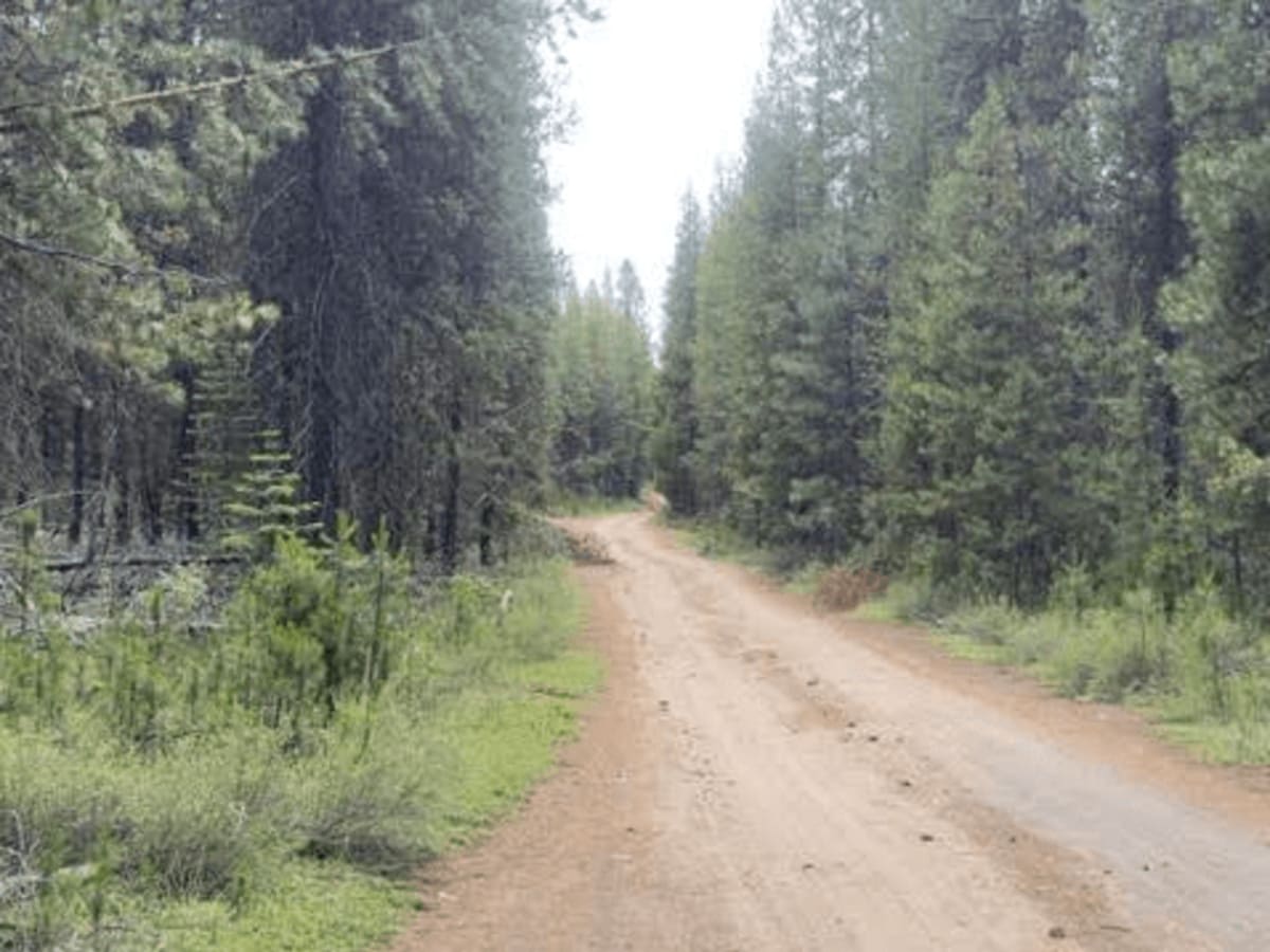 Brown Mountain Loop  photo 6