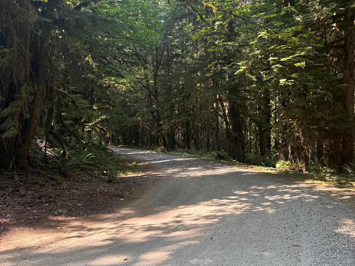 Lower Sandy Campground photo 4
