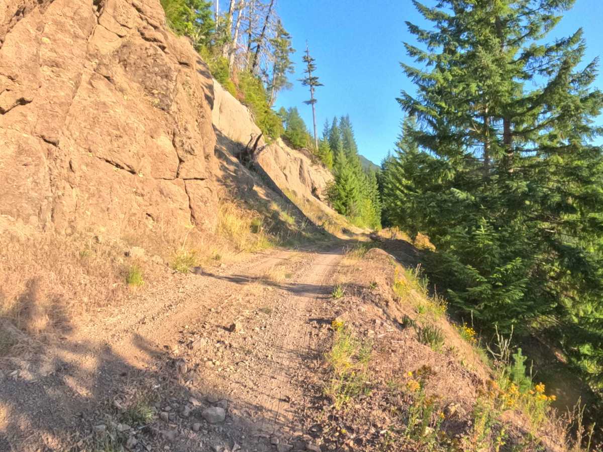 Upper Hawkins - FS 2236000 trail photo