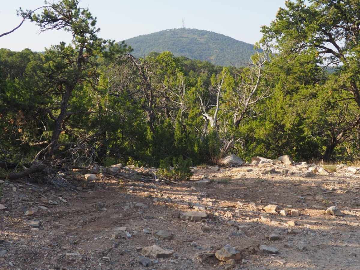 Coyote Mesa Trail trail photo