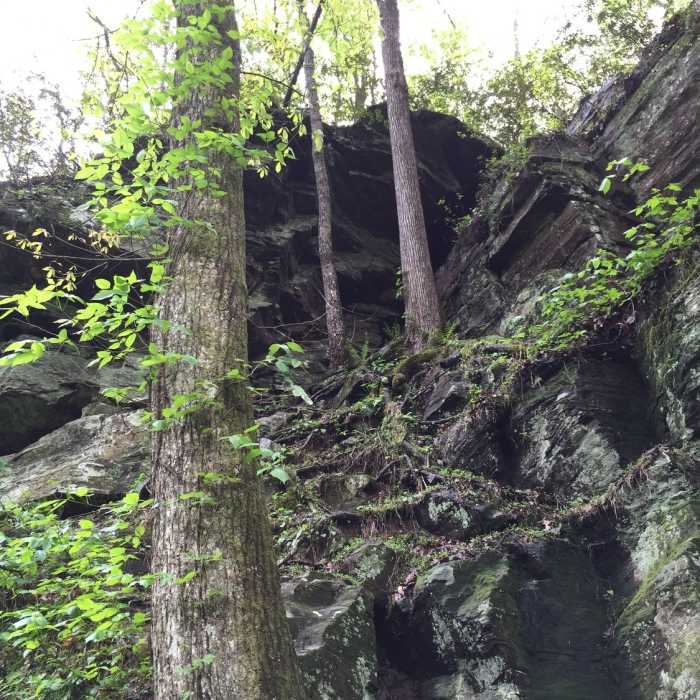 Near Allenbrook Trail