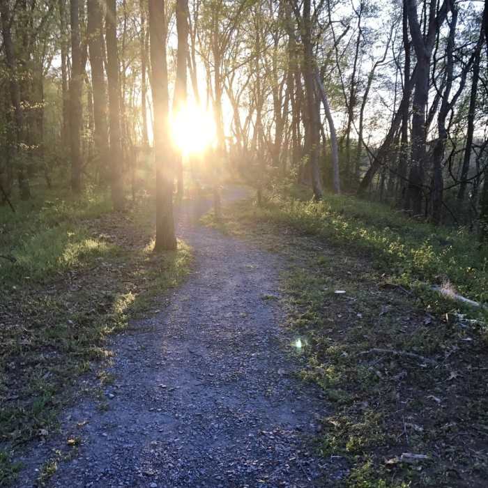 Sunset over the Appomattox River. Near Appomattox River Park Loop