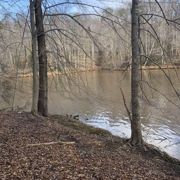 Near Fountainhead Loop Hike