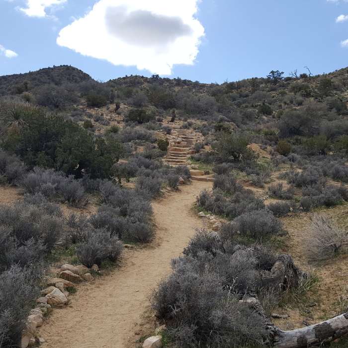 Near West Side Loop Trail