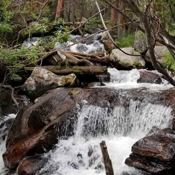 Near Emmaline Lake