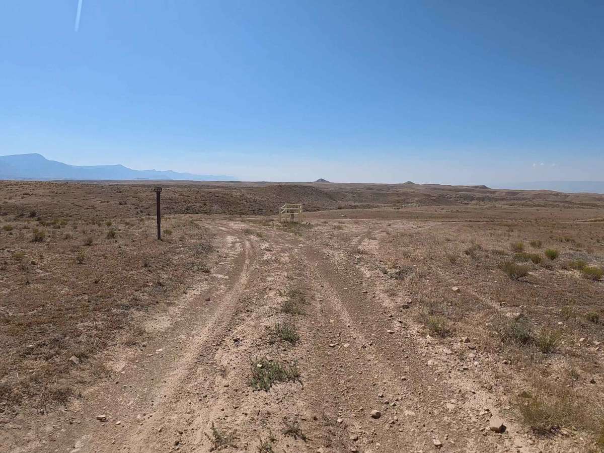BLM 192 photo 5