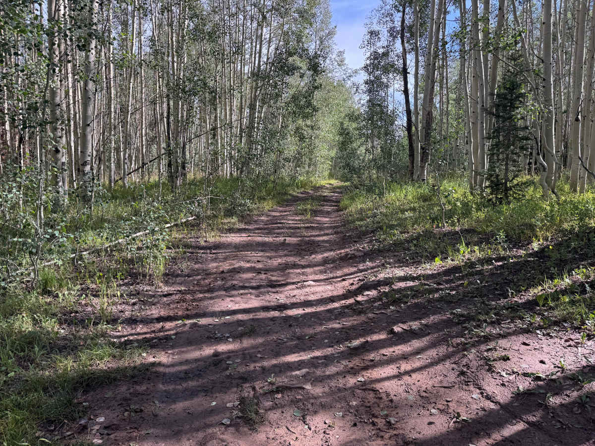 Hell Canyon Road photo 5