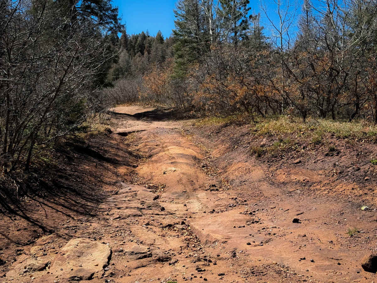 Vegitas trail photo