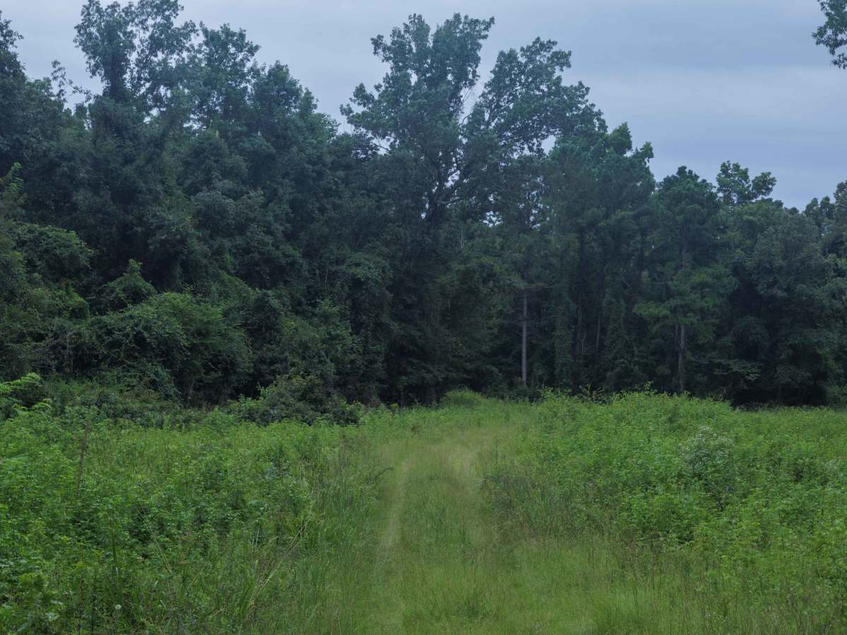 Briarpatch Lake Access photo 4