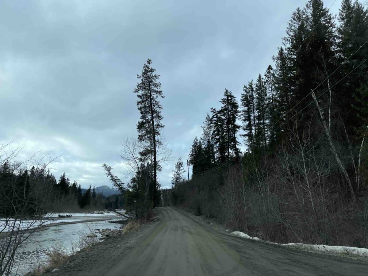 Shuswap River photo 5