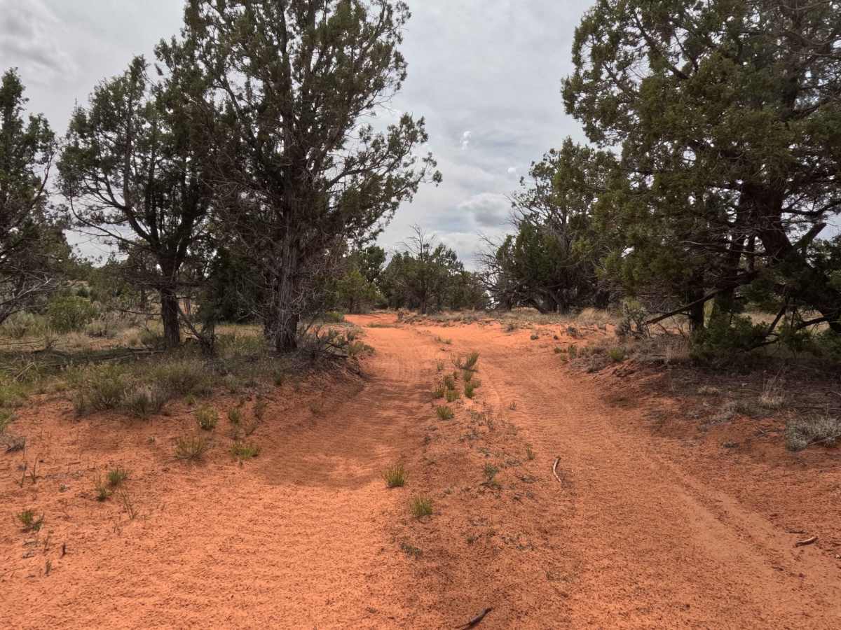 BLM 60C photo 5