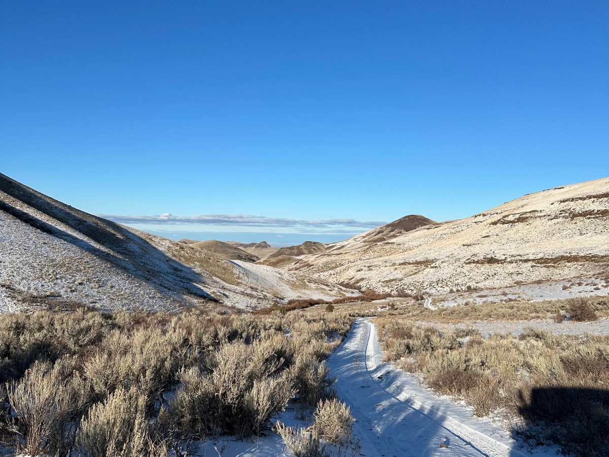 Rats Nest Gulch trail photo