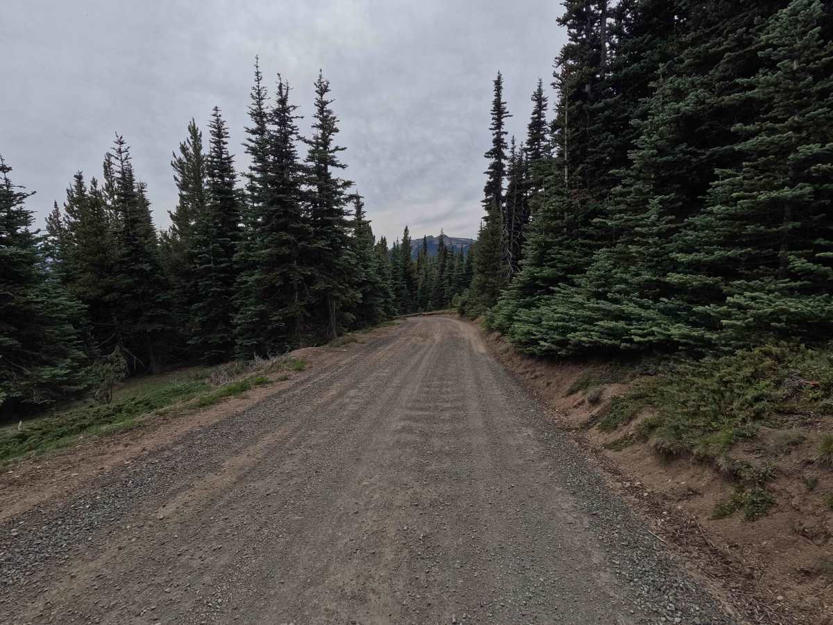 Deer Park Road photo 4