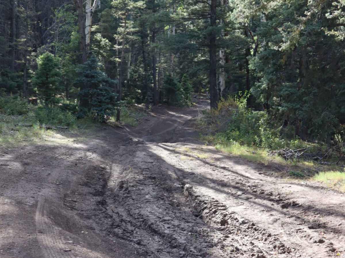 Schrader Creek photo 5