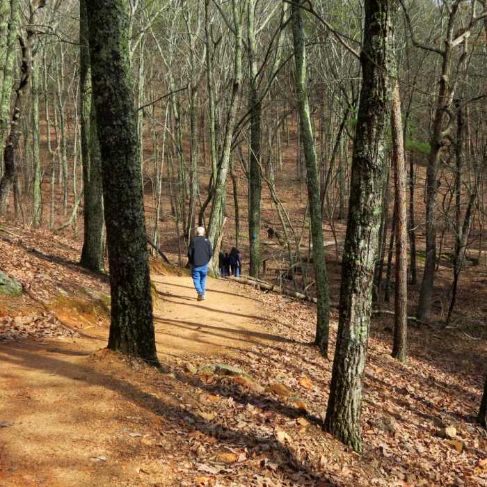 Near Indian Seats Loop