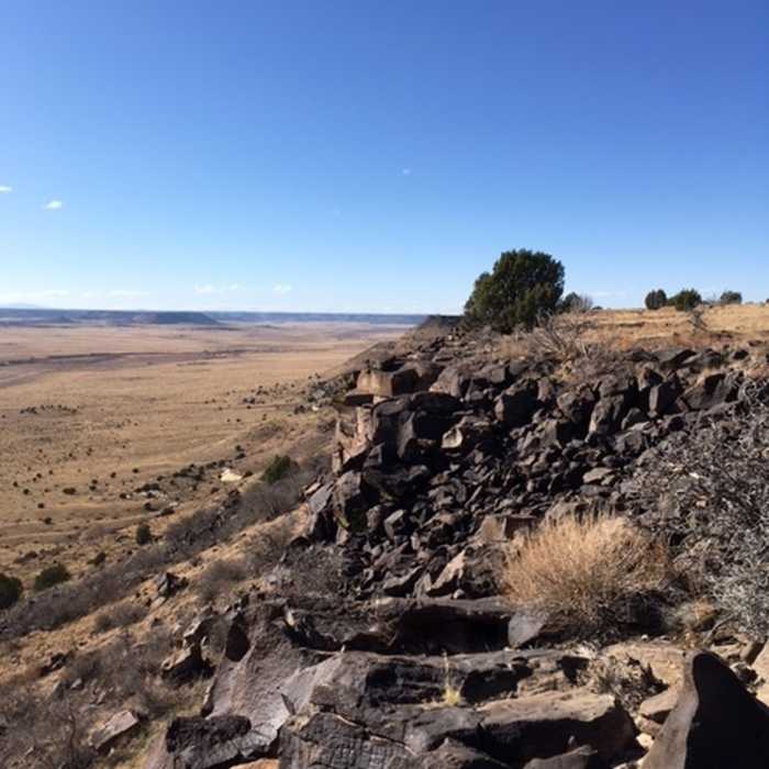 Near Black Mesa Trail