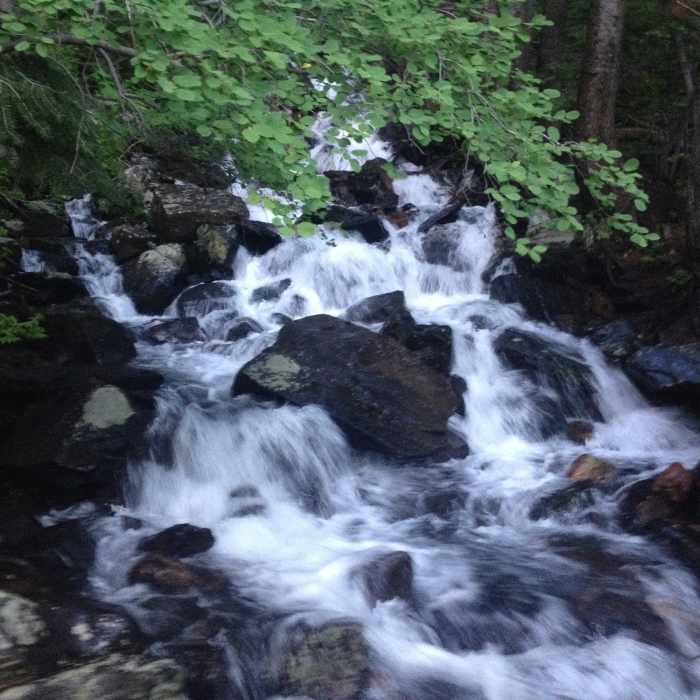 Near Broads Fork Trail #055