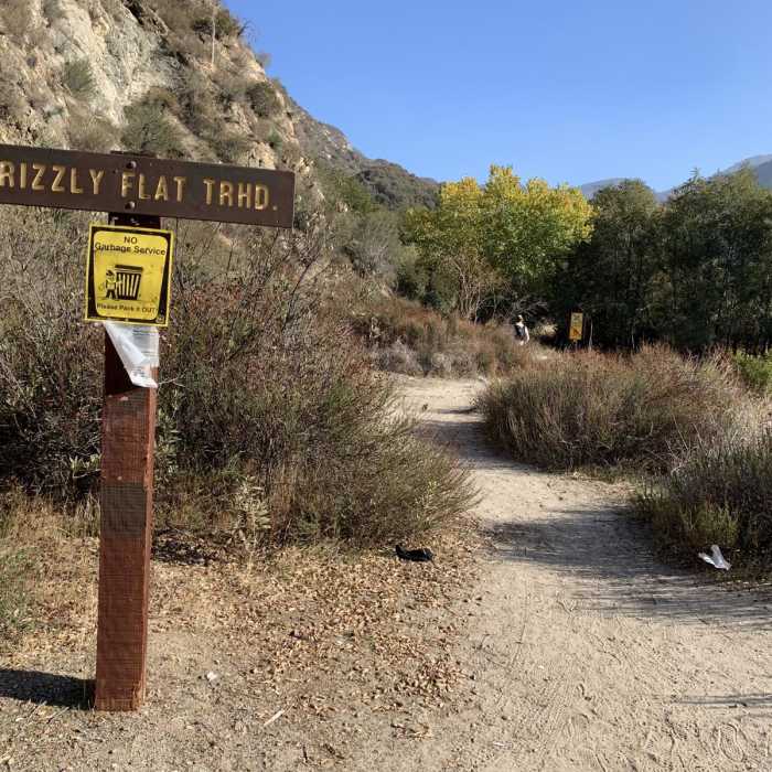 Near Grizzly Flat Trail