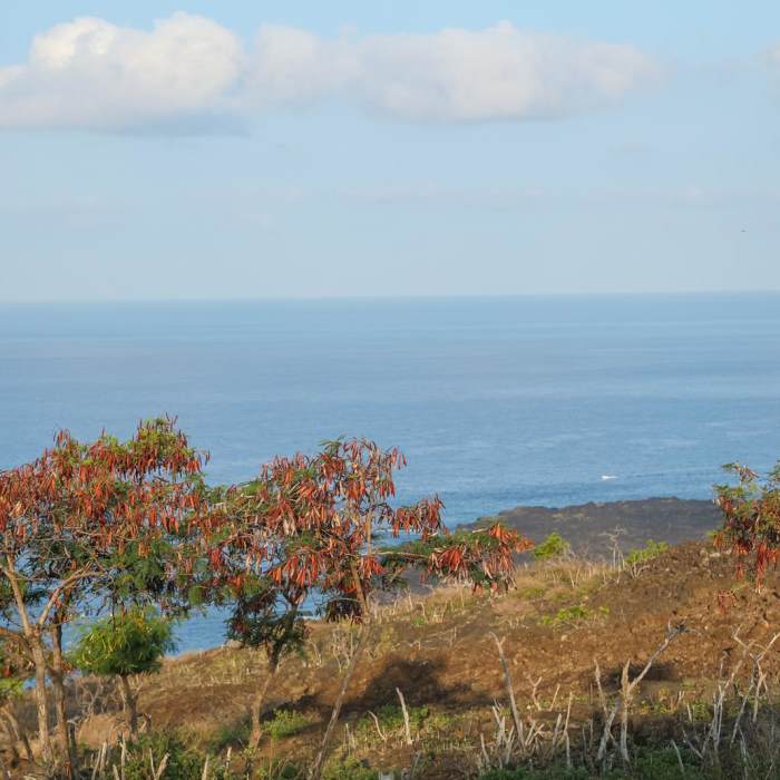 Near Captain Cook Monument Trail Near Captain Cook Monument Trail