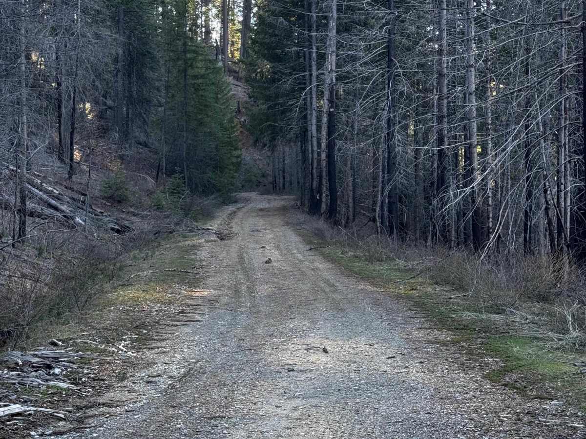 North Branch trail photo
