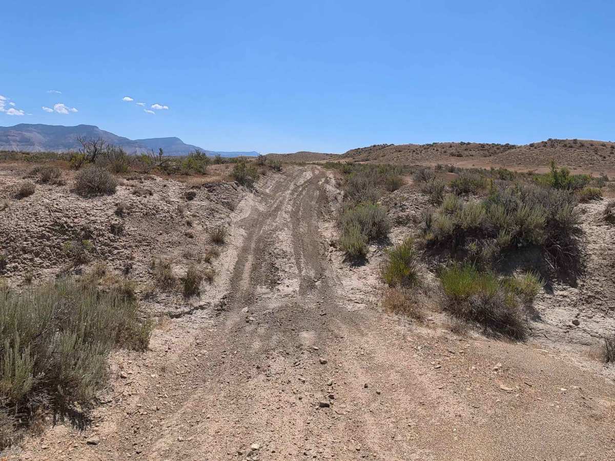 BLM 198 photo 2
